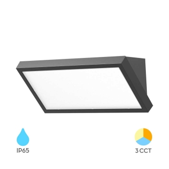 Zidna svjetiljka 20W 3CCT 2000lm IP65 crna NAPOLI BRAYTRON BG37-00582