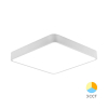 Stropna svjetiljka 36W 3/1 3680lm 400x400mm IP20 kvadratna bijela BRAYTRON BH16-05180