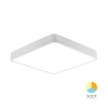Stropna svjetiljka 45W 3/1 4650lm 500x500mm IP20 kvadratna bijela BRAYTRON BH16-05280