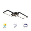 Stropna svjetiljka 40W 3/1 4400lm IP20 s daljinskim upravljačem crna BRAYTRON BH17-04491