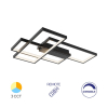 Stropna svjetiljka 65W 3/1 7150lm IP20 s daljinskim upravljačem crna BRAYTRON BH17-04591