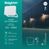 Reflektor LED 10W 3CCT 950lm IP65 bijeli BRAYTRON BT60-51080