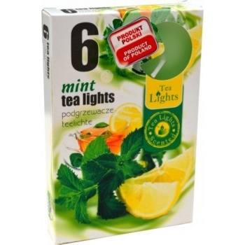 Mirisna lučica menta 6kom/pak TL-6 MENTA