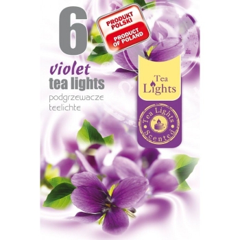 Mirisna lučica ljubica 6kom/pak TL-6 VIOLA