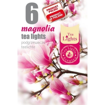 Mirisna lučica magnolija 6kom/pak TL-6 MAGNOLIA
