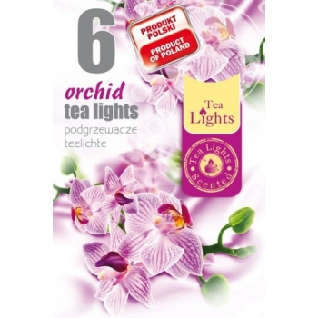 Mirisna lučica orhideja 6kom/pak TL-6 ORCHIDEA
