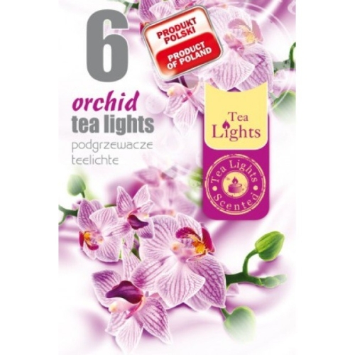 Mirisna lučica orhideja 6kom/pak TL-6 ORCHIDEA