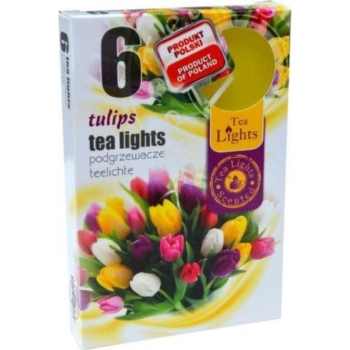 Mirisna lučica tulipan 6kom/pak TL-6 TULIPAN