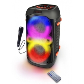 RGB osvjetljeni BT zvučnik FM Karaoke Singer ESP EP156