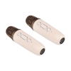 Prijenosni Bluetooth karaoke zvučnik s 2 mikrofona MASTER 8979