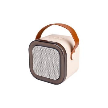 Prijenosni Bluetooth karaoke zvučnik s 2 mikrofona MASTER 8979