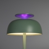 Stolna LED svjetiljka 8,5W 4000K 150lm RGB s funkcijom bijelog šuma zelena VIDEX VL-TF23G
