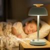 Stolna LED svjetiljka 8,5W 4000K 150lm RGB s funkcijom bijelog šuma zelena VIDEX VL-TF23G