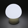 Stolna LED svjetiljka 4W 3CCT 210lm RGB punjiva Mushroom VIDEX VL-TF26BG