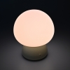 Stolna LED svjetiljka 4W 3CCT 210lm RGB punjiva Mushroom VIDEX VL-TF26BG