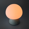 Stolna LED svjetiljka 4W 3CCT 210lm RGB punjiva Mushroom VIDEX VL-TF26BG