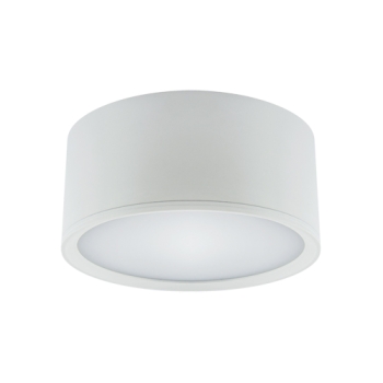 Nadgradna svjetiljka ROLEN LED 15W bijela 4000K 03110
