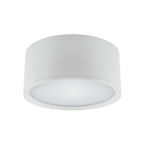 Nadgradna svjetiljka ROLEN LED 15W bijela 4000K 03110