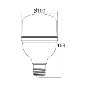 Žarulja LED 28W 4000K E27 T100 IP20 BRAYTRON BA13-32821
