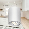 Kućište za GU10 žarulju max 35W fi94 IP20 okruglo bijelo BRAYTRON BH04-00200