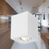 Kućište za GU10 žarulju max 35W 80x100x80mm IP20 kvadratno bijelo BRAYTRON BH04-00310