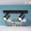Kućište za GU10 žarulju max 2x35W 300x120x83mm IP20 okruglo crno BRAYTRON BH04-00821