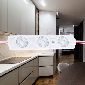 Modul LED 1,2W RED 12VDC IP67 BRAYTRON BS04-00204