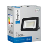 Reflektor LED 50W 6500K 4200lm IP65 sivi BRAYTRON BT60-35031