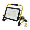 Reflektor radni 100W 3CCT IP65 BRAYTRON BT60-99181