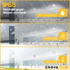 Reflektor LED PRO 500W 5000K 60000lm IP65 za stadione LUMILEDS ENOVALITE ELED400201
