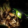 Naglavna svjetiljka 750lm CREE+SMD Pro serija punjiva VA0187
