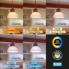 Žarulja LED 10,5W 3CCT 1160lm E27 A60 IP20 BRAYTRON BA13-01080