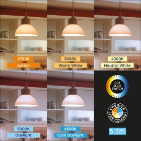 Žarulja LED 13,5W 3CCT 1520lm E27 A65 IP20 BRAYTRON BA13-01380