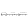Vijenac LED 230V 10xE27 10m dužine MASTER 2817