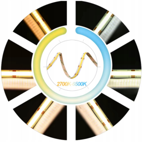 LED traka COB Neon CCT 24V 608D 22W/m IP20 50m BGPL 50XTB-50M-24V-1100W-CCT